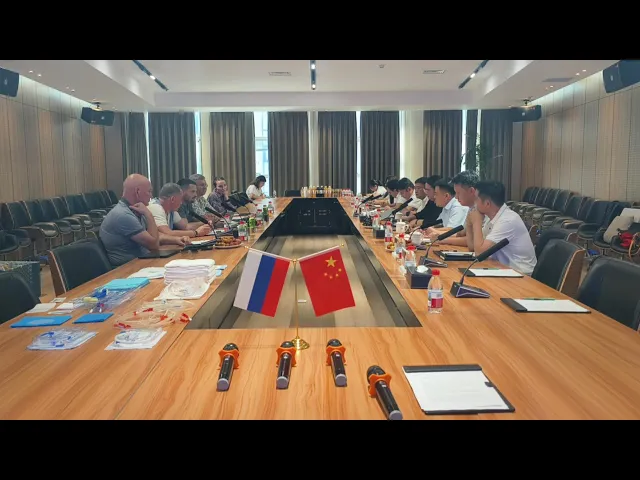 Proyek produksi Lokalisasi Tuoren Medical-Rusia