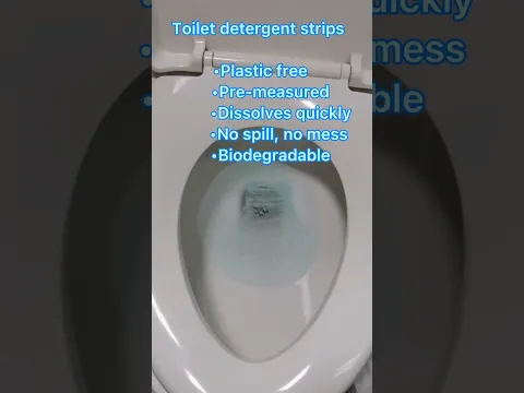 Toilet detergent sheet