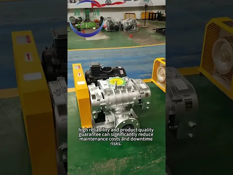 Stainless steel mechanically sealed Roots blower